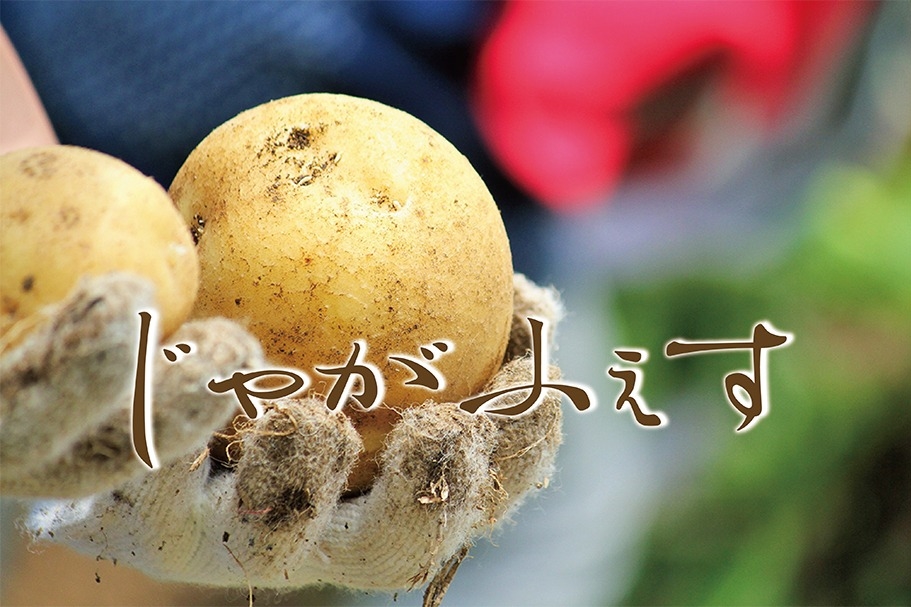 じゃがふぇす2019告知用