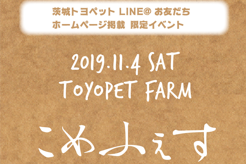 こめふぇす20191104