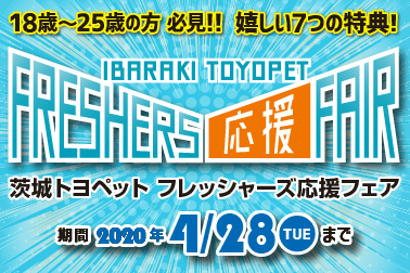 フレッシャーズ378×252