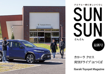 sunsun61_sp