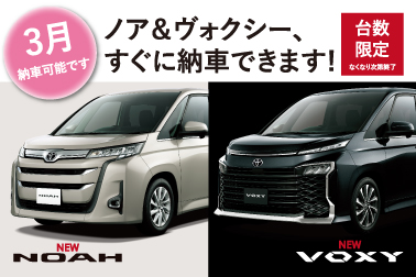 即納車