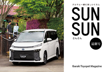 sunsun63_sp