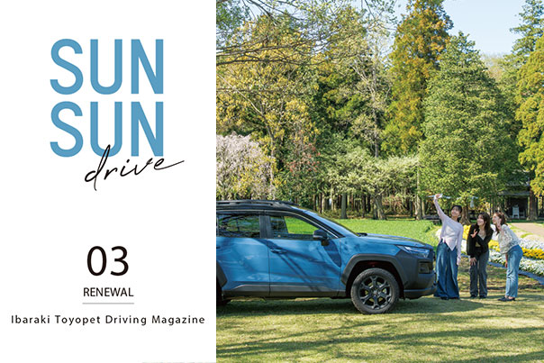 SUNSUN drive 03 RENEWAL