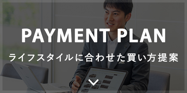 PAYMENT PLAN