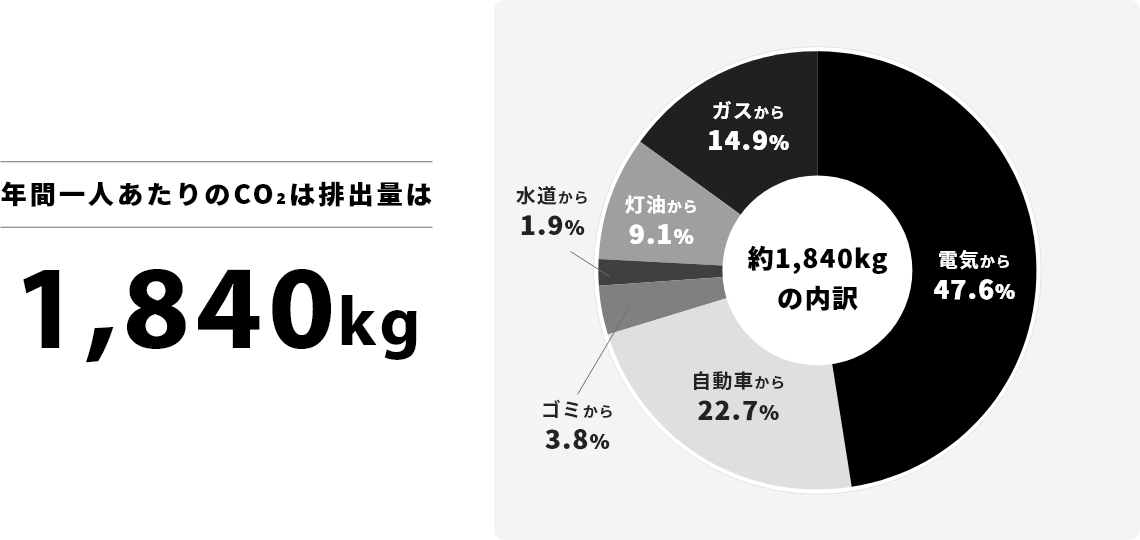 グリーンでんきとは