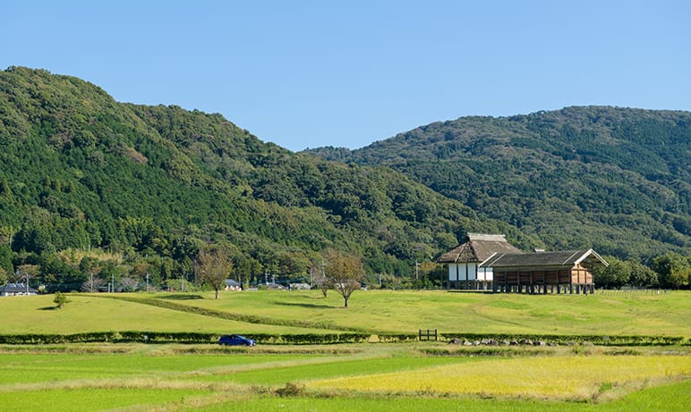 遺跡前を走るカローラ
