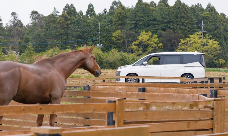 馬とヴォクシー