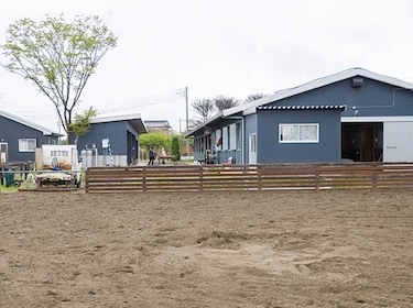 エフォートステーブル