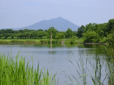 母子島遊水地