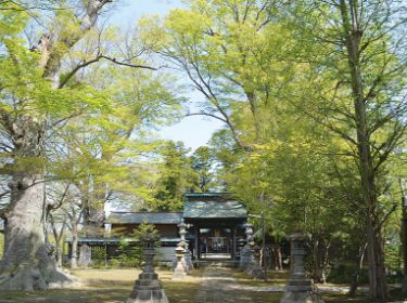 若宮八幡宮