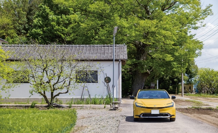 けやきの大木とプリウス