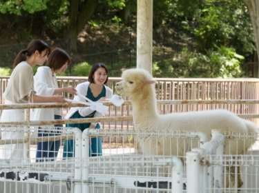 水海道あすなろの里 